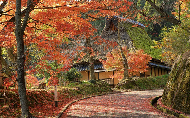 花筐公園