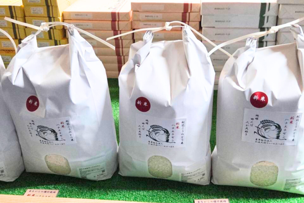 ハナエチゼン販売開始